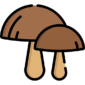 mushroom