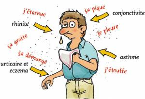 Éternuements, conjonctivite, rhinite, asthme…. Et s’il s’agissait d’une allergie aux pollens ?