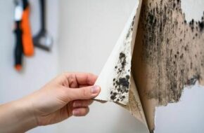 COMMENT DÉTECTER LES MOISISSURES INVISIBLES  DANS UN LOGEMENT ?